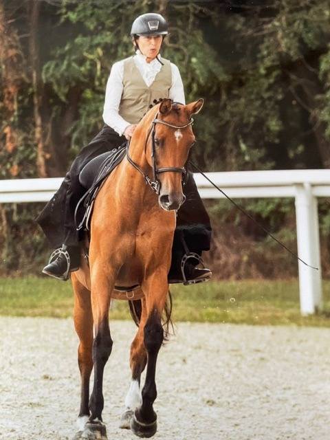 A VENDRE CHEHAD BEL ORIENT (CARDERO CHAMPS ELYSEES&deg;