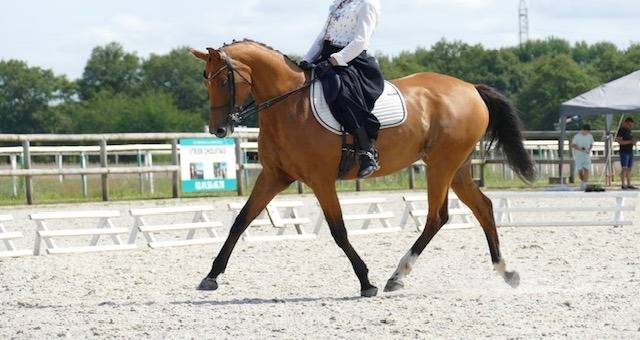 A VENDRE CHEHAD BEL ORIENT (CARDERO CHAMPS ELYSEES&deg;
