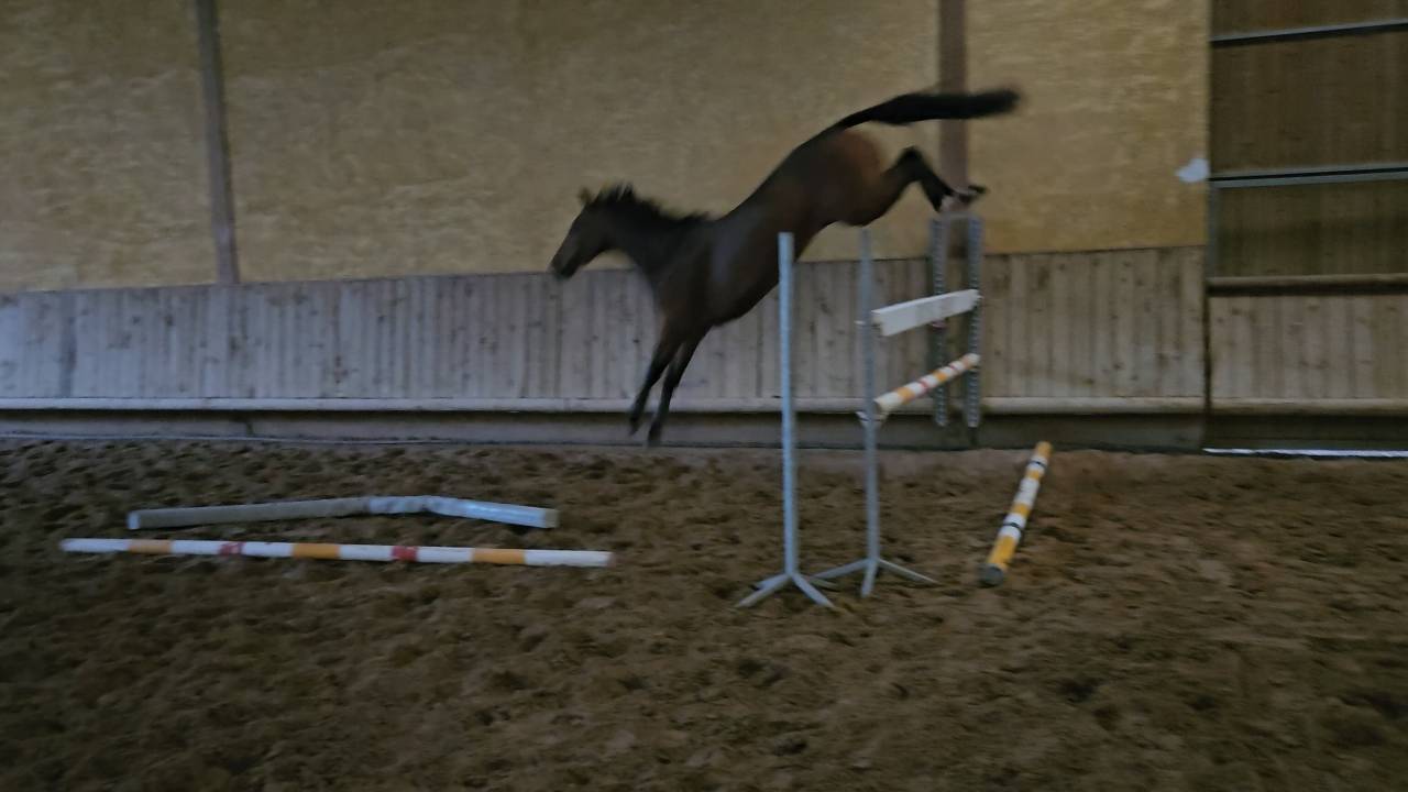 Top 4 ans X Vivant vd Heffinck 