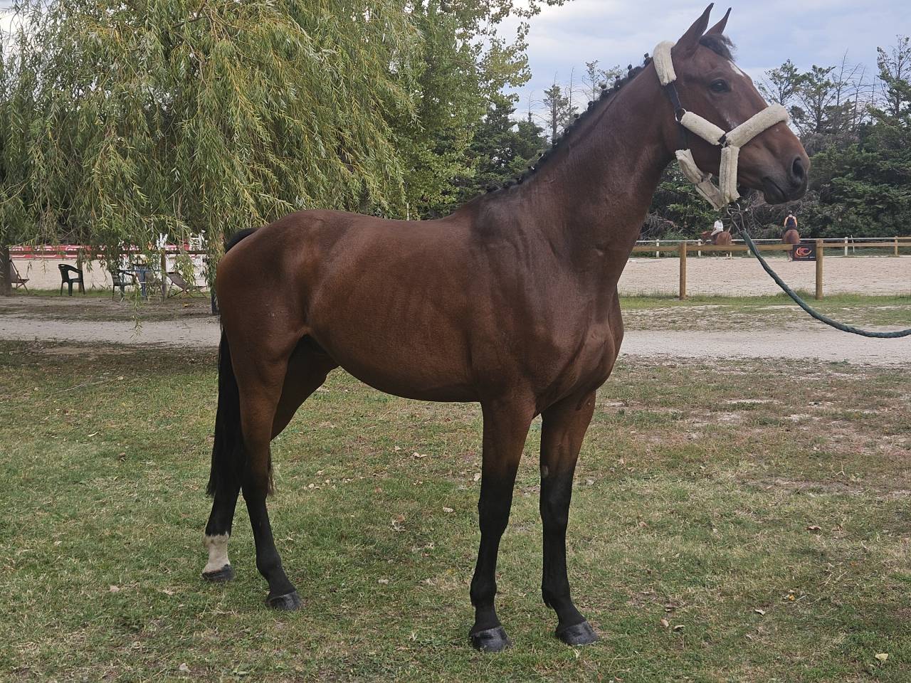 Top 4 ans X Vivant vd Heffinck 