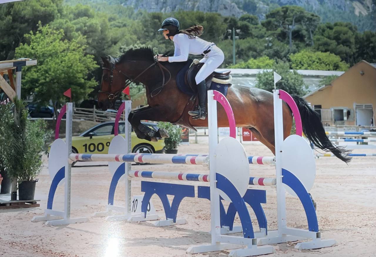 Hongre SF de 15 ans - Boy - 1m68