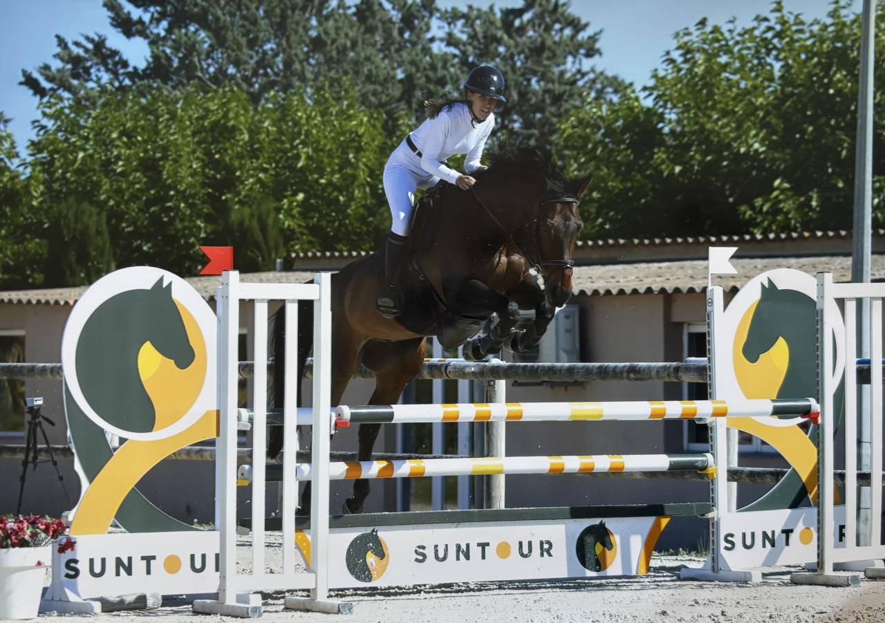 Hongre SF de 15 ans - Boy - 1m68