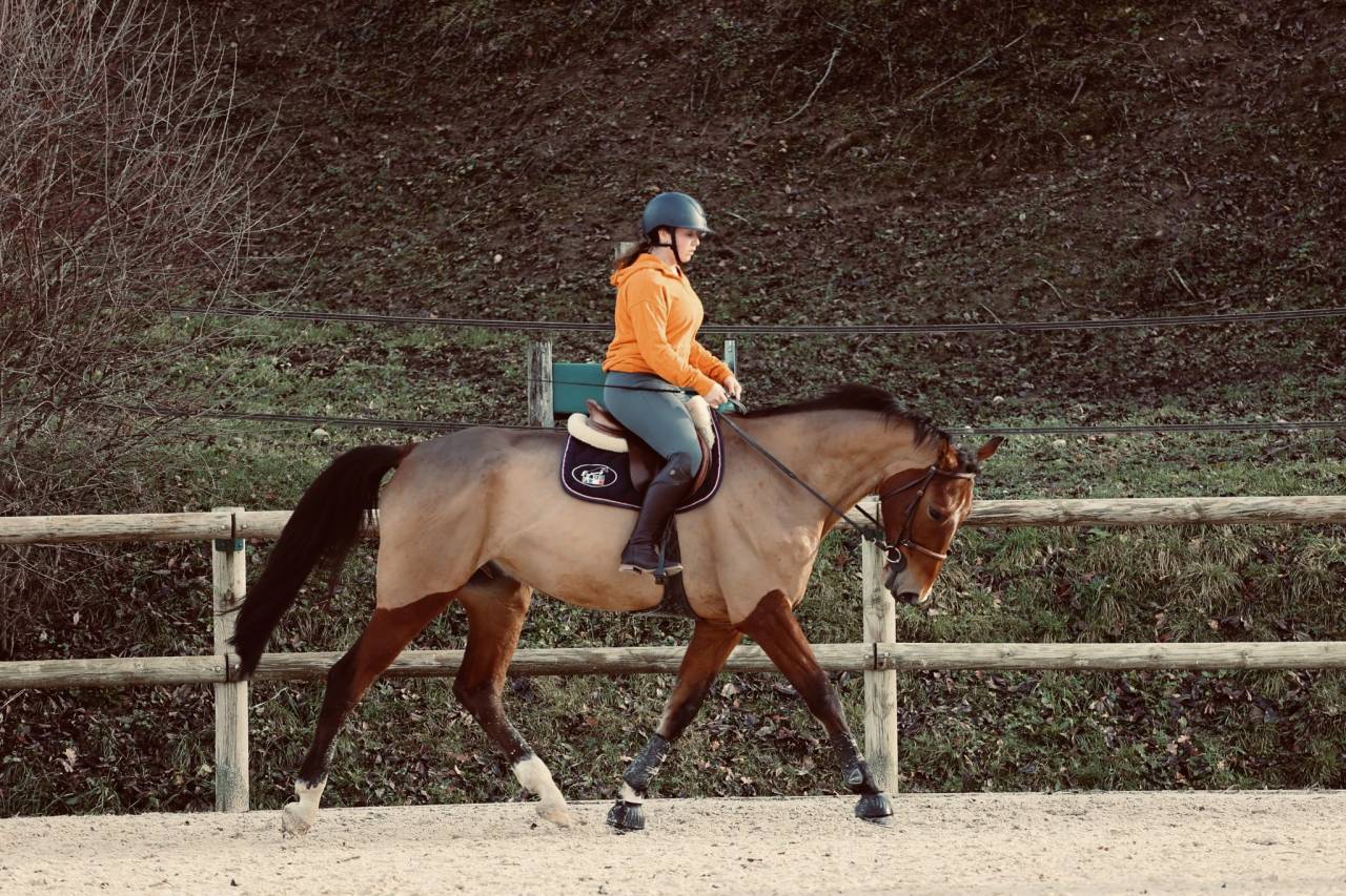 &Agrave; VENDRE SF DE 13 ans 