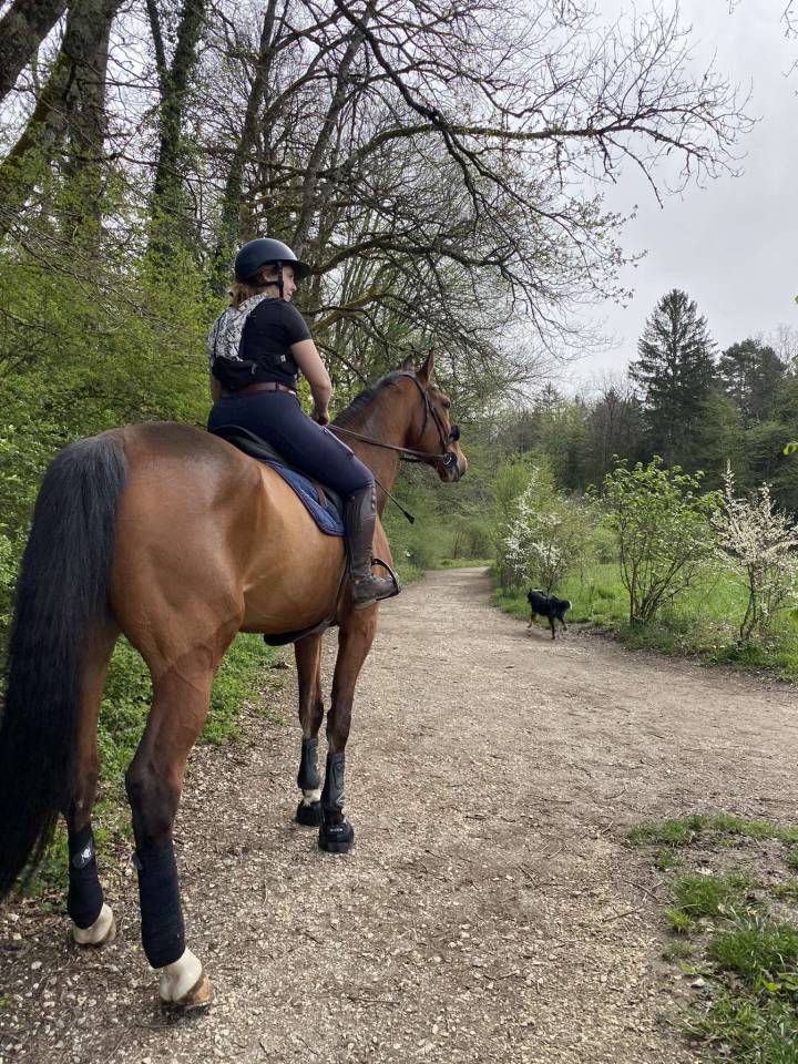 &Agrave; VENDRE SF DE 13 ans 