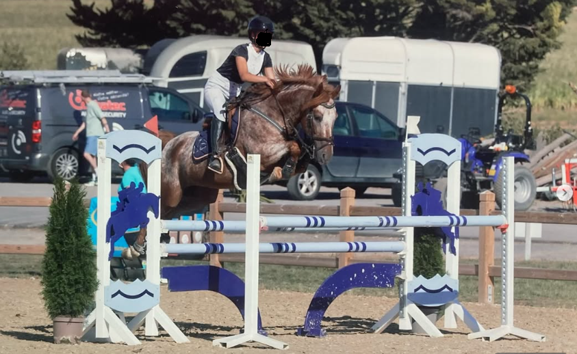 Poney D de 9 ans pour 110cm et plus