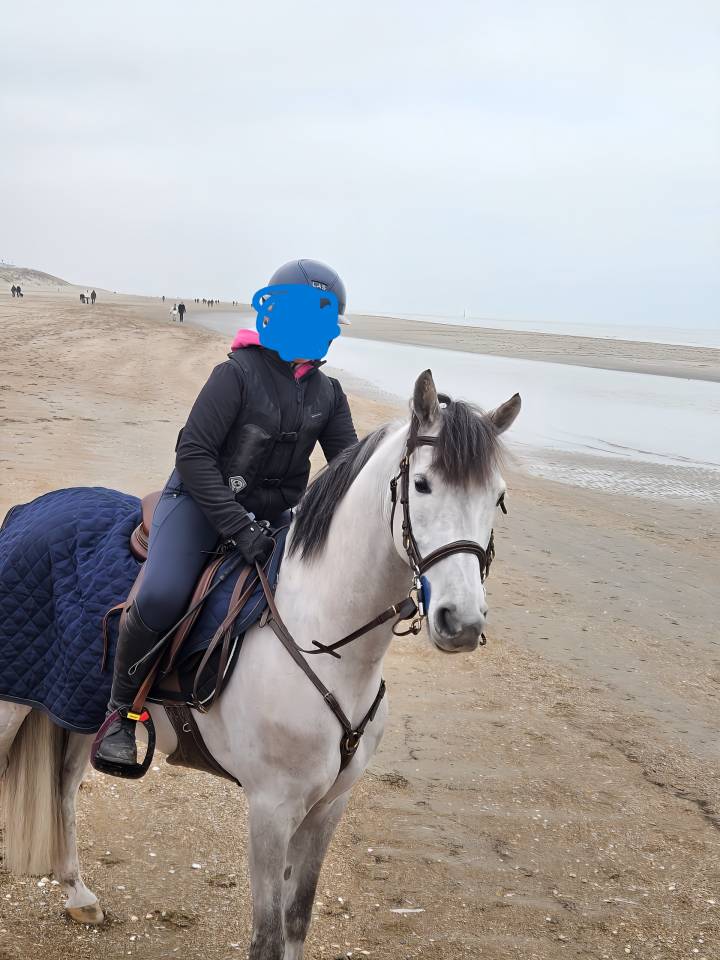 Poney D de 8 ans pour CSO