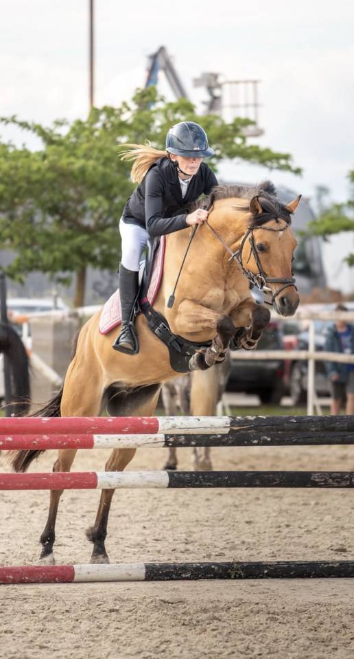 Poney D 6ans 