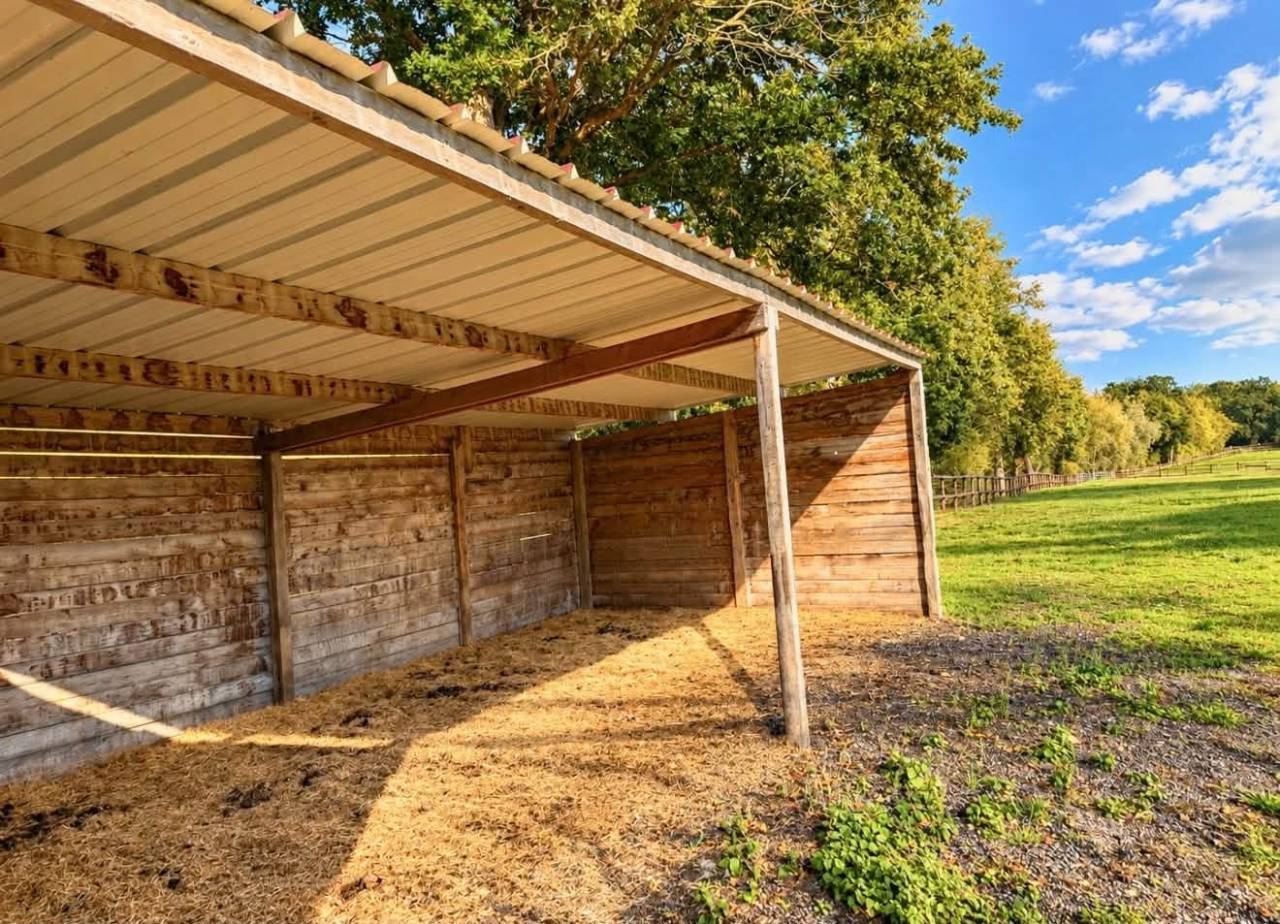 Propri&eacute;t&eacute; &eacute;questre de 11ha (14)