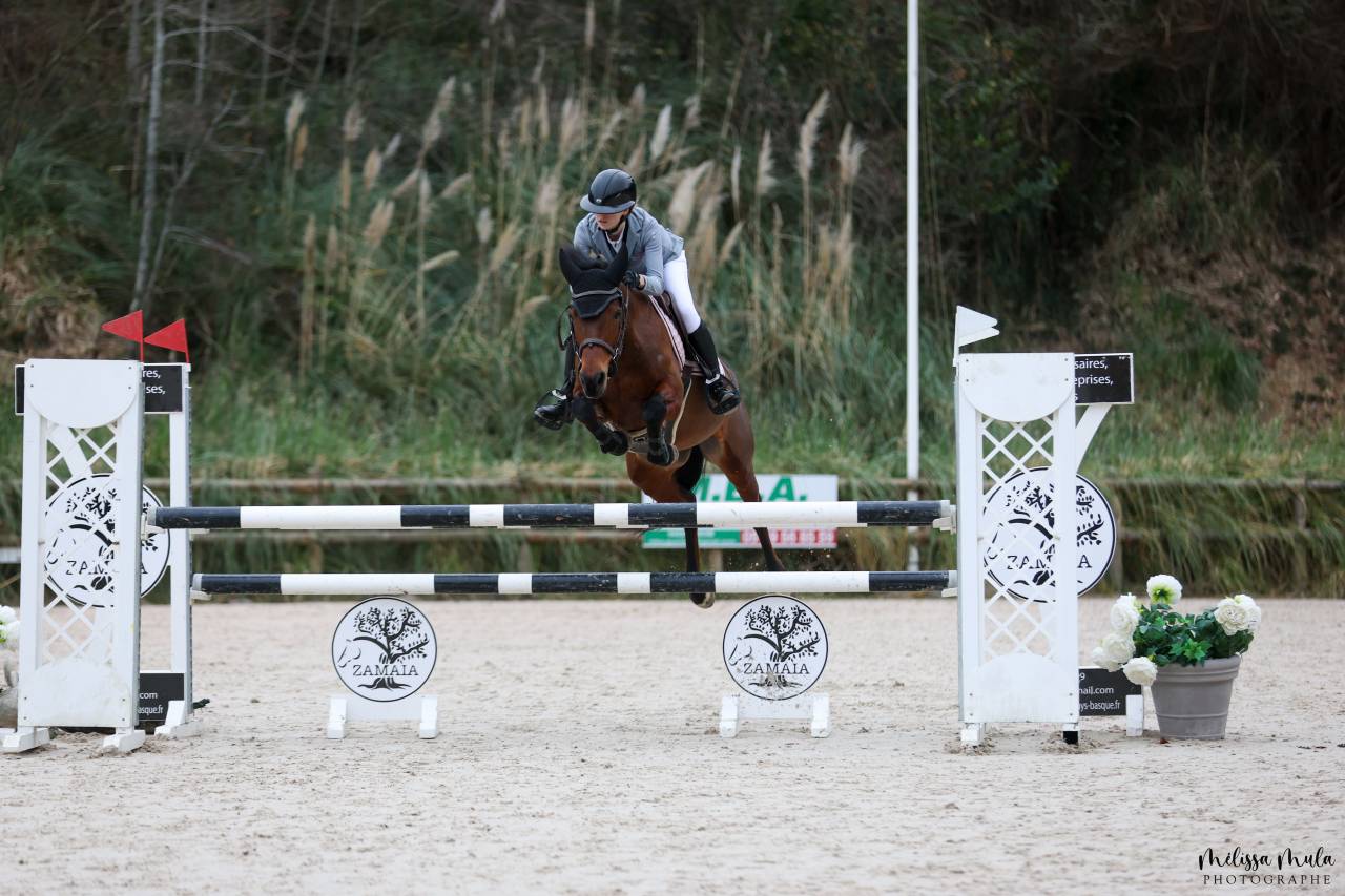 &Agrave; VENDRE ou &Agrave; LOUER &ndash; Ponette de sport - P &Eacute;lite / AS2