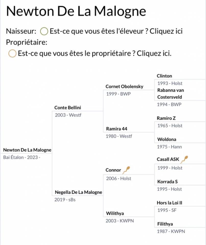 Newton de la Malogne 