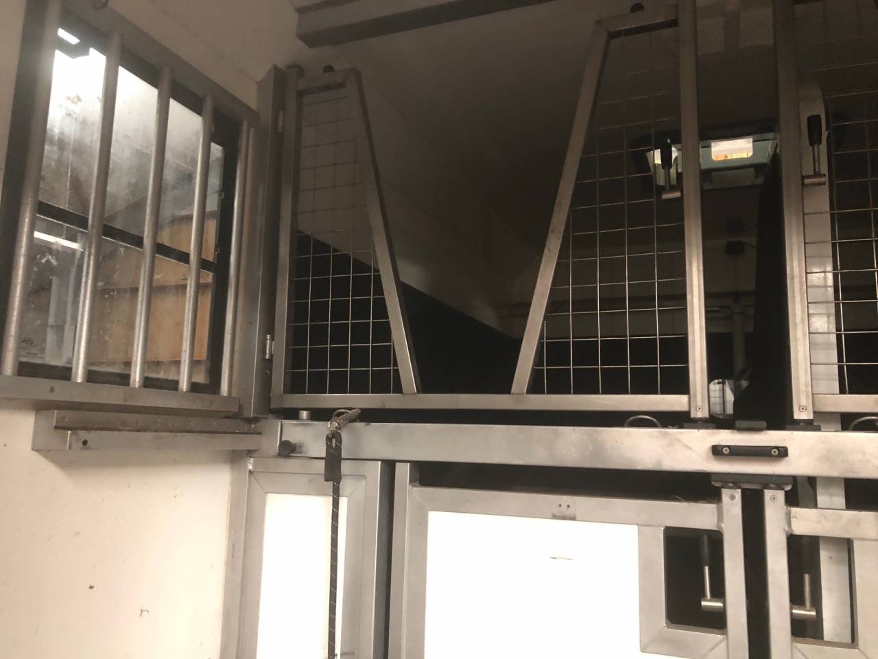 STX - HORSEBOX - 5 places
