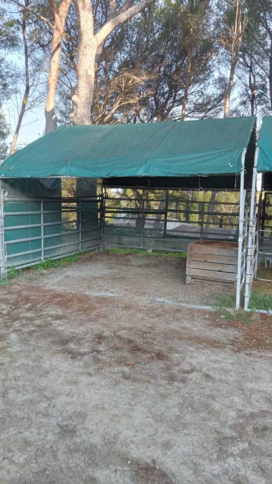 Propri&eacute;t&eacute; &eacute;questre avec paddocks acc&egrave;s colline 