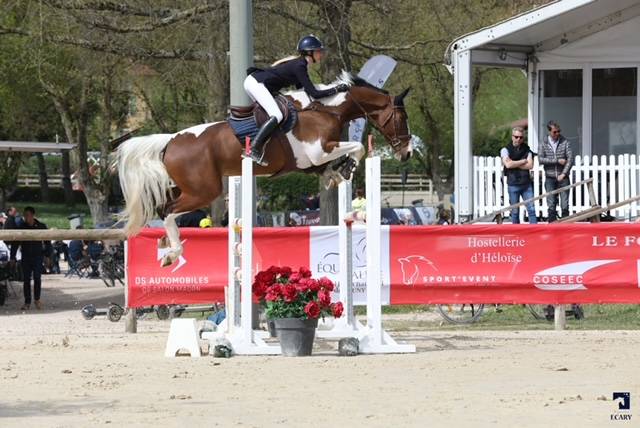 TOP CHEVAL CHILDREN/JUNIOR