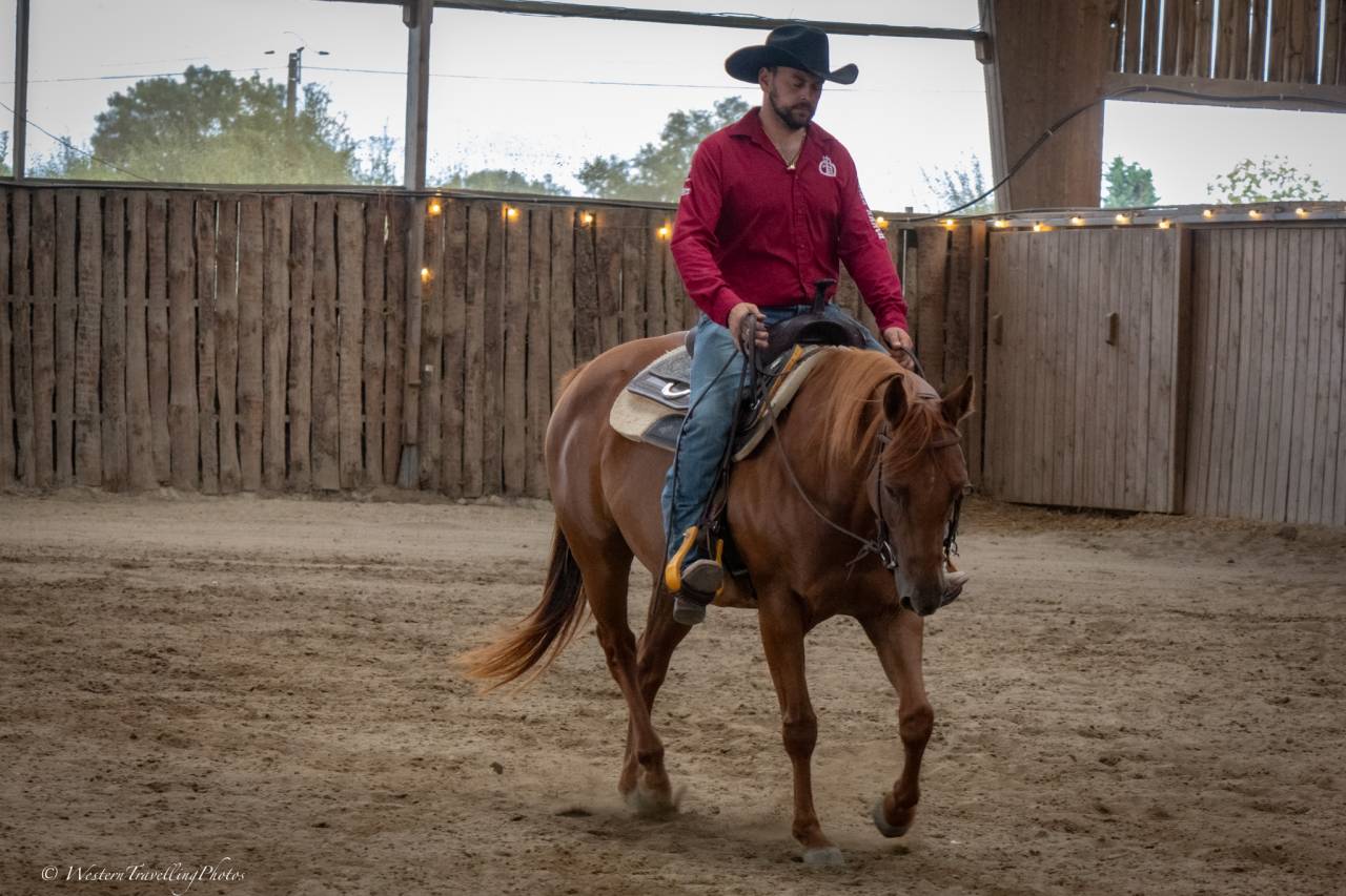 Jument Quarter Horse AQHA &mdash; Seattle du TR (5 ans)