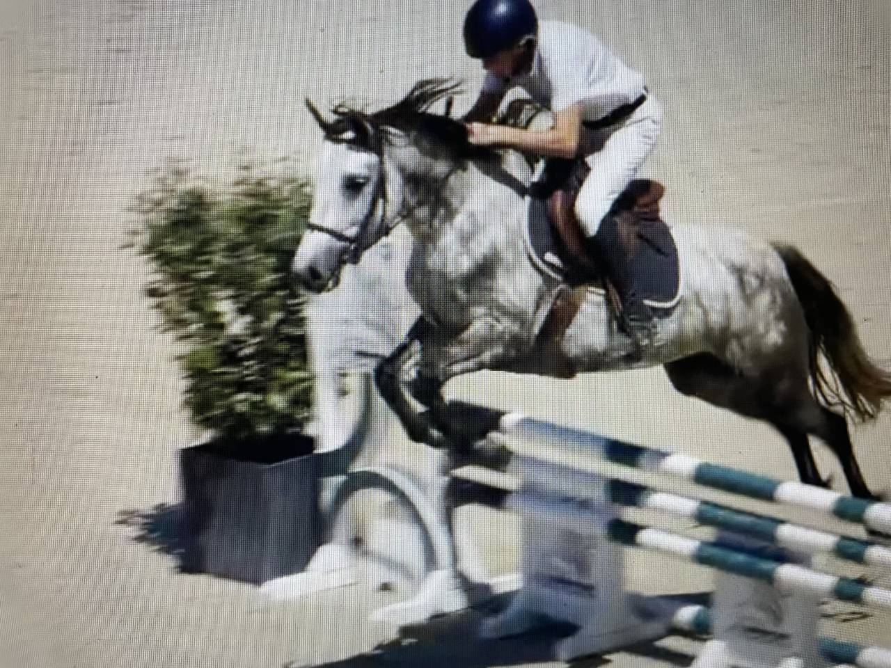 VENDS PONETTE CSO, 6 ANS