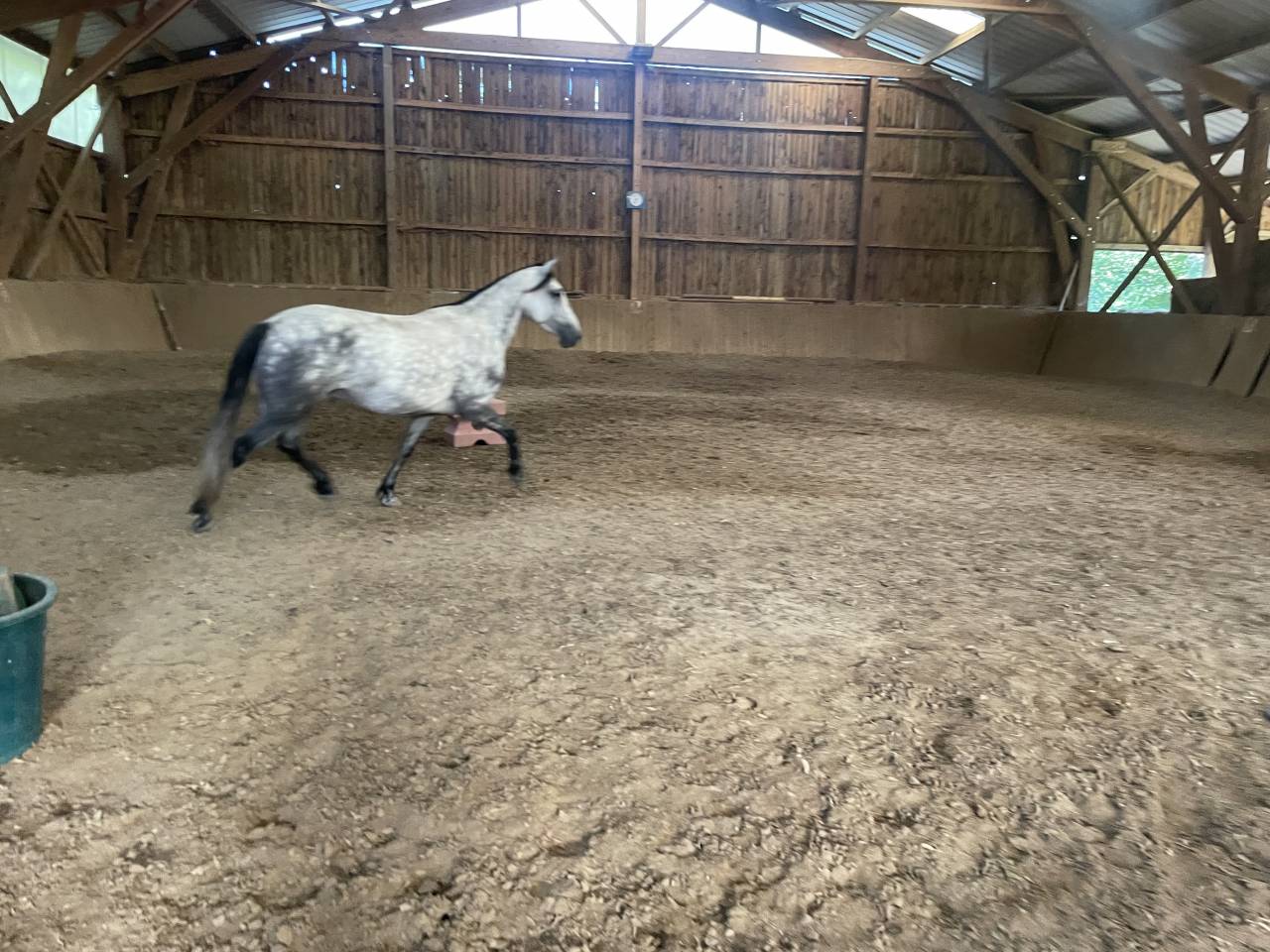 VENDS PONETTE CSO, 6 ANS