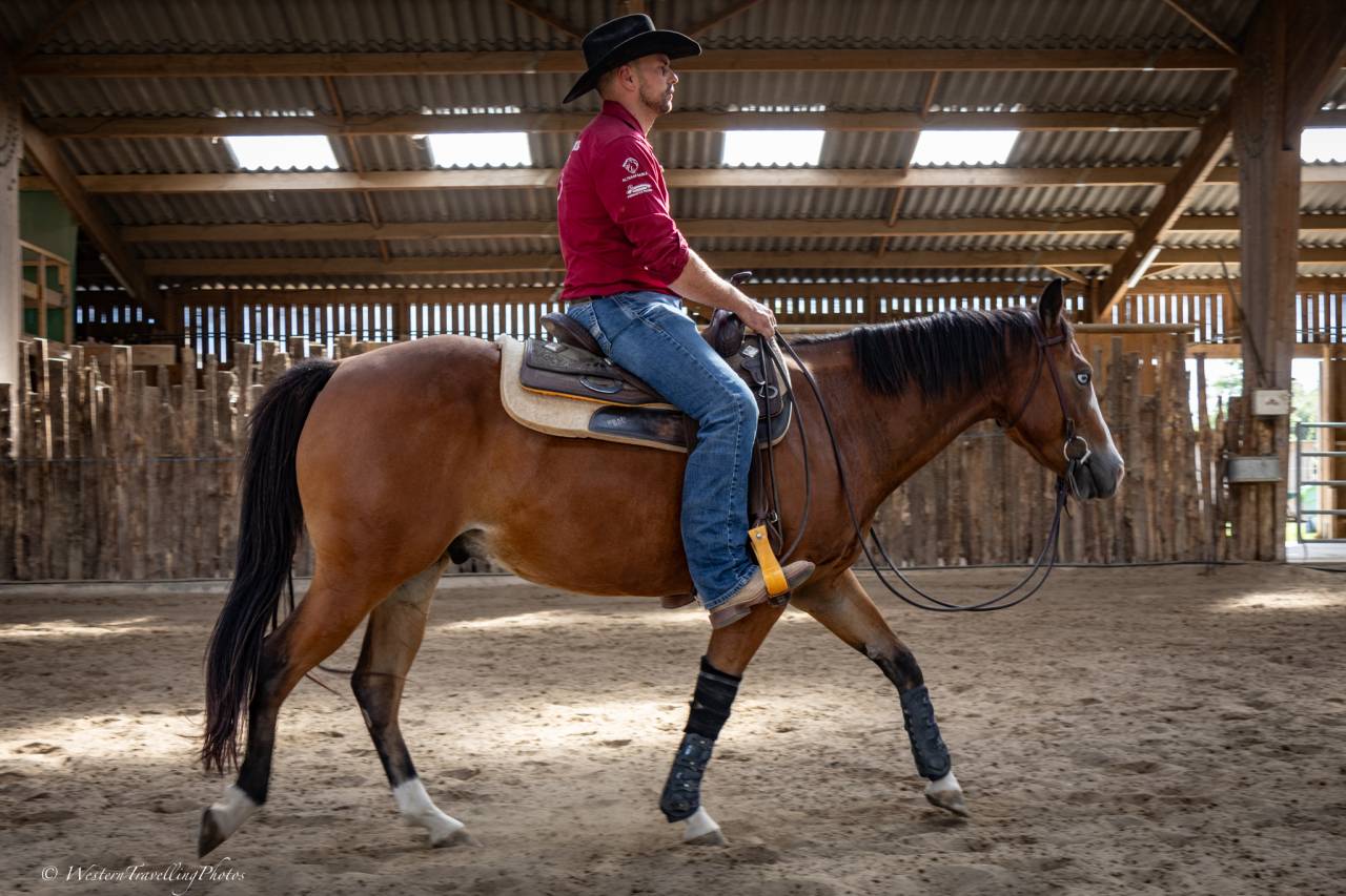 Hongre Quarter Horse AQHA &mdash; TR BUENO MAGIC BAR