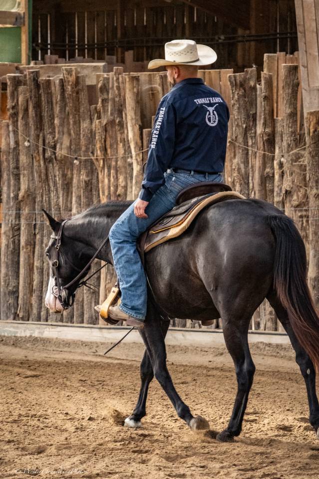 Jument Paint Horse APHA &mdash; TR HOLLY PEPPY SAN (2 ans)