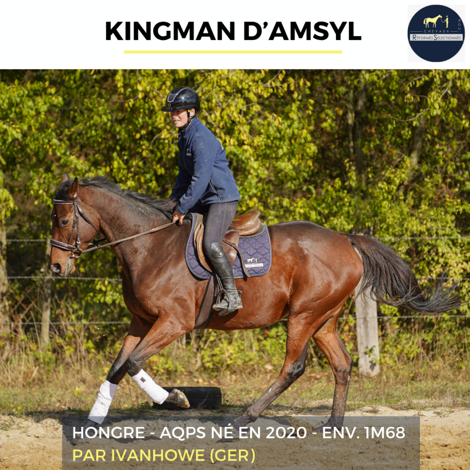 KINGMAN D'ASMYL