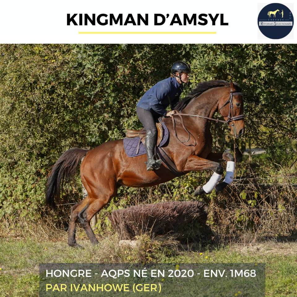 KINGMAN D'ASMYL