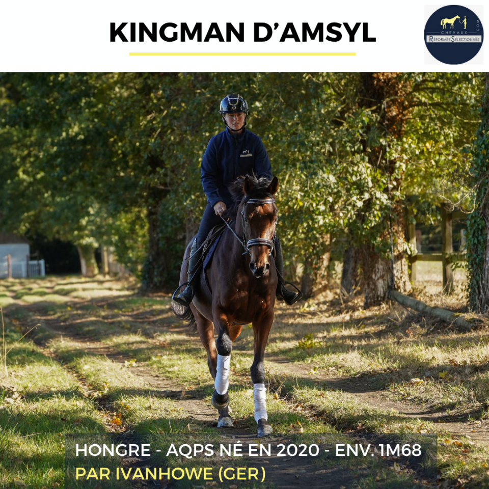 KINGMAN D'ASMYL