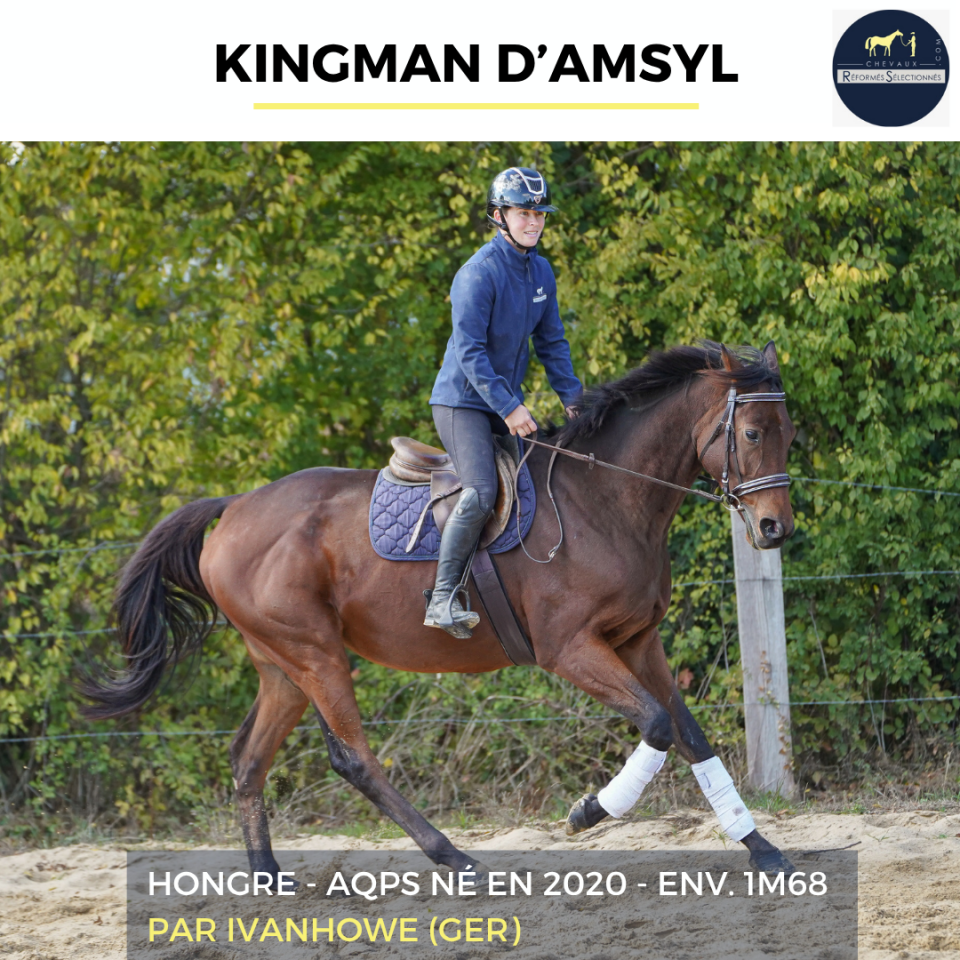 KINGMAN D'ASMYL