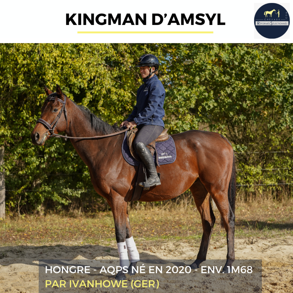 KINGMAN D'ASMYL