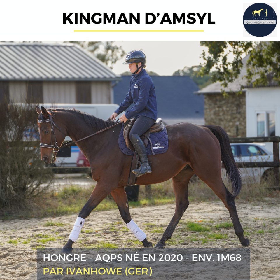 KINGMAN D'ASMYL