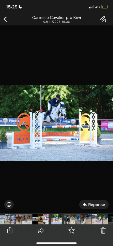 poney ma&icirc;tre d&rsquo;&eacute;cole cso as