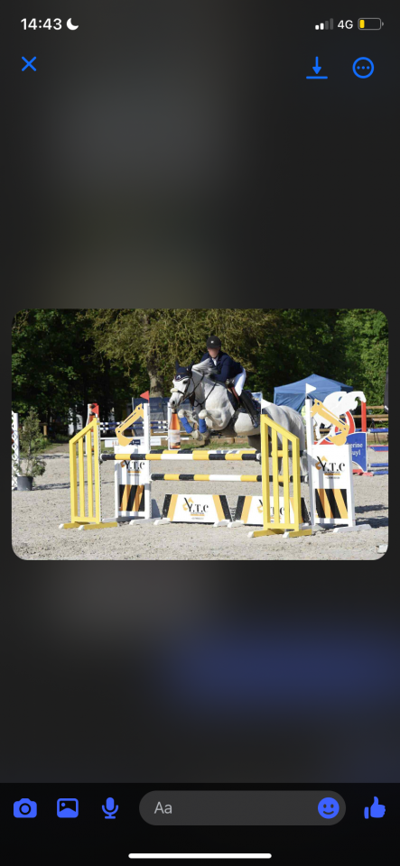 poney ma&icirc;tre d&rsquo;&eacute;cole cso as
