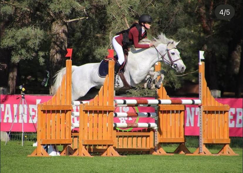 poney ma&icirc;tre d&rsquo;&eacute;cole cso as