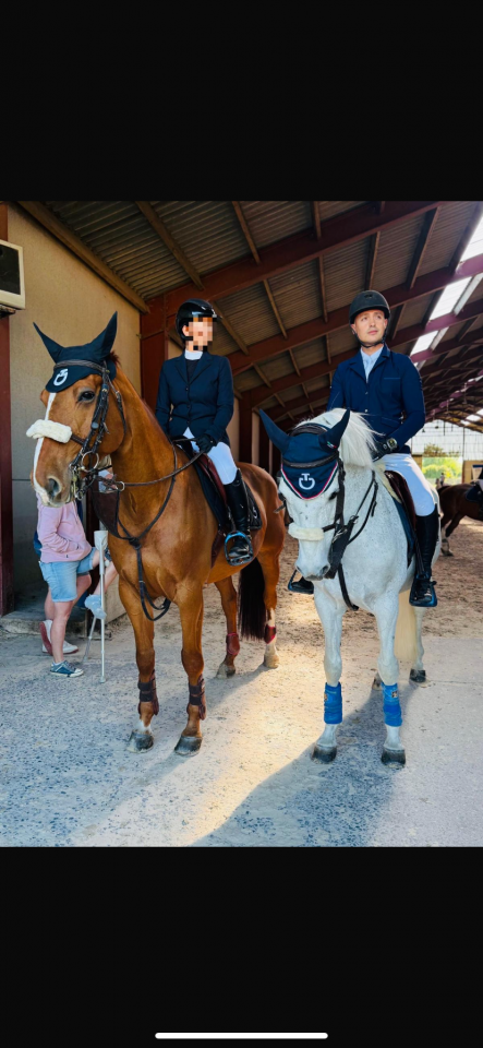 poney ma&icirc;tre d&rsquo;&eacute;cole cso as