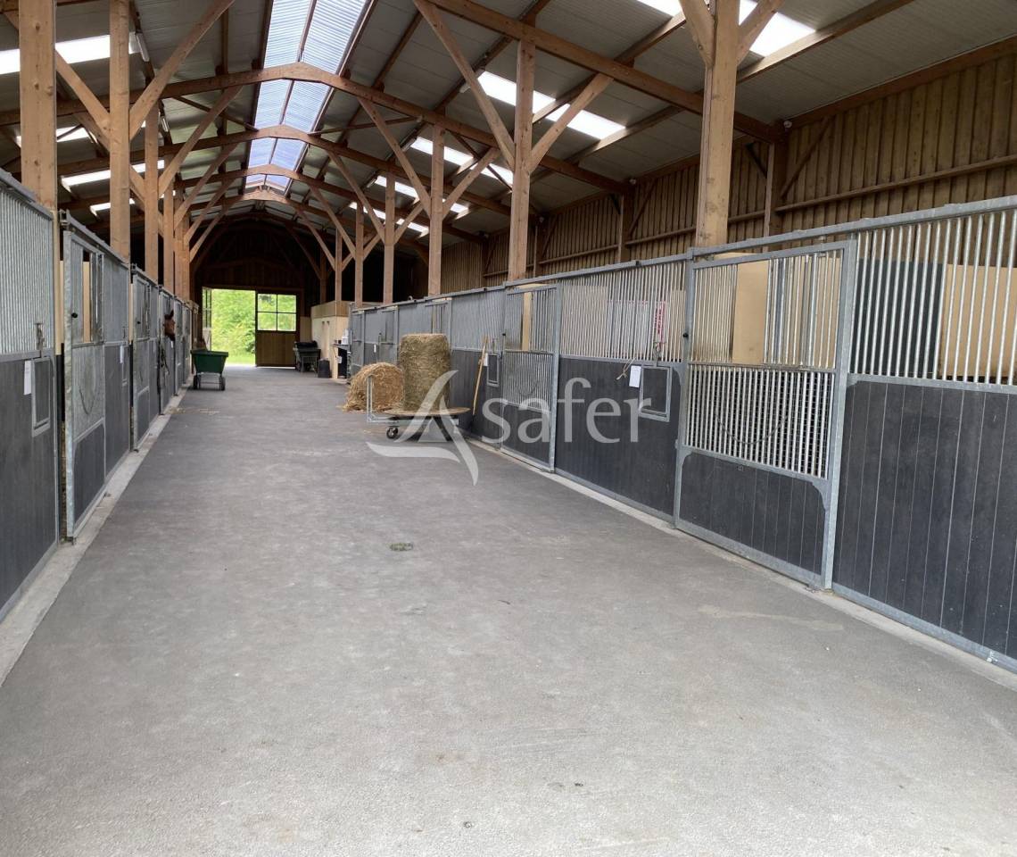Haras d'&eacute;levage - Pays d'Auge
