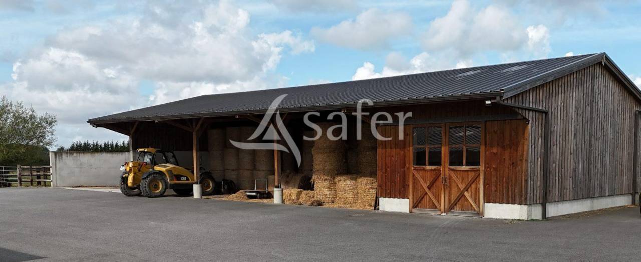 Haras d'&eacute;levage - Pays d'Auge
