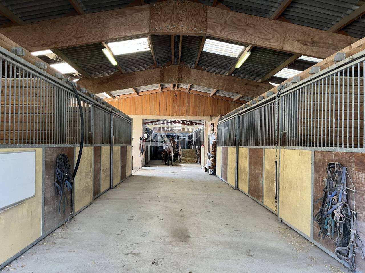 Centre d'entrainement trotteur - Pays d'Auge