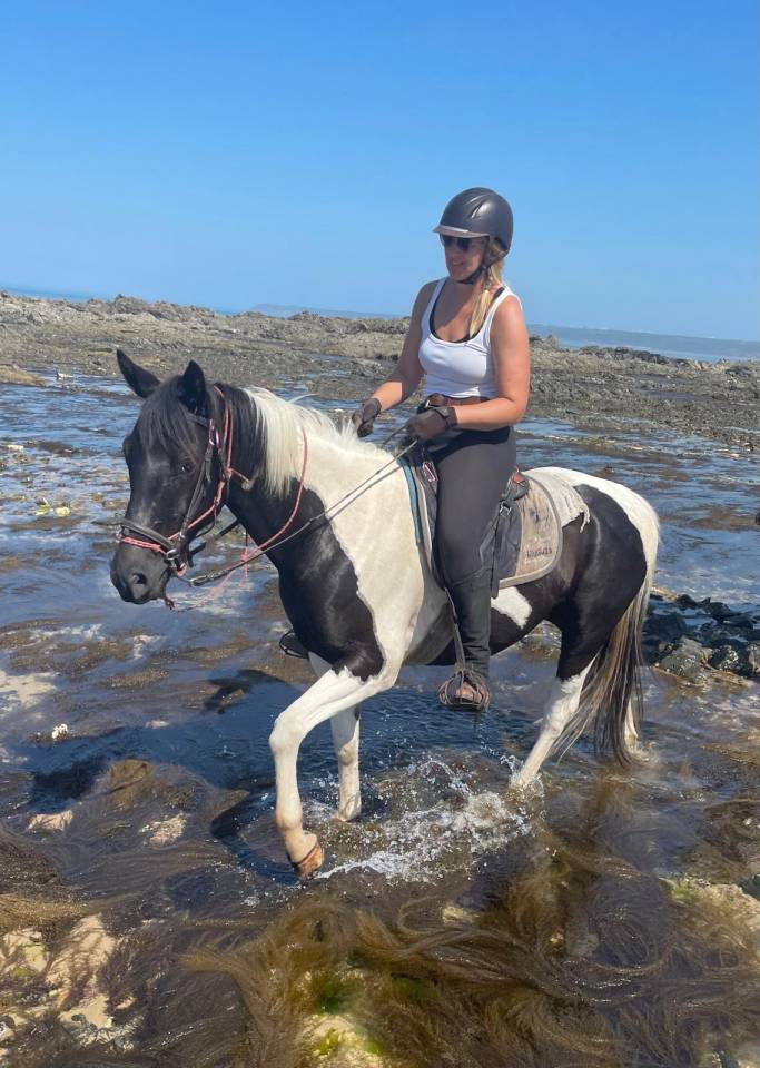 Hongre Pinto 6 ans 1,56m