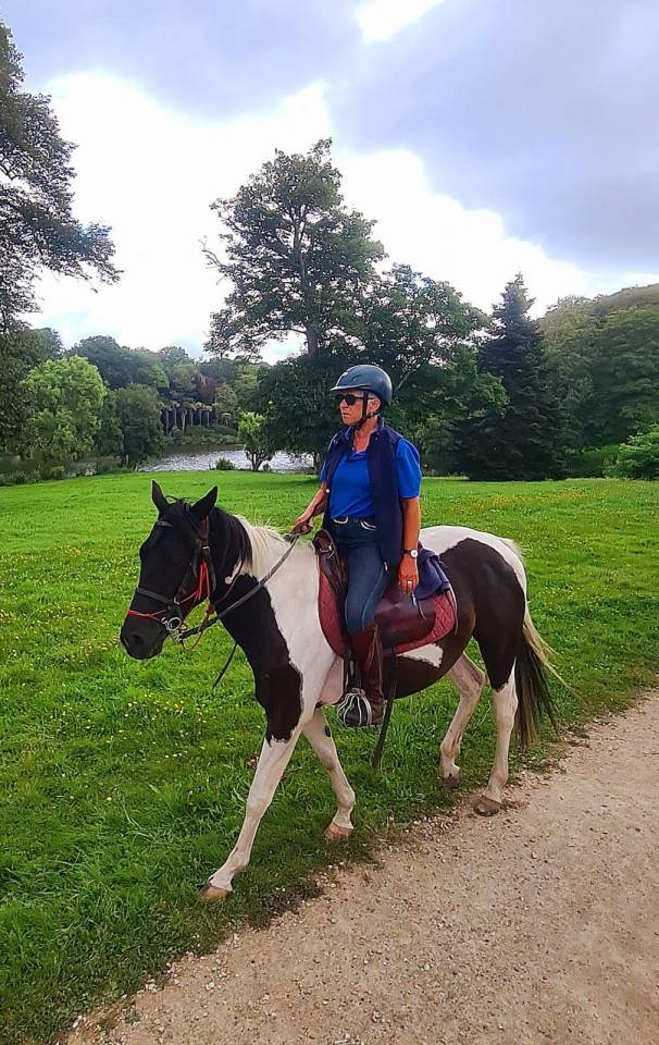 Hongre Pinto 6 ans 1,56m