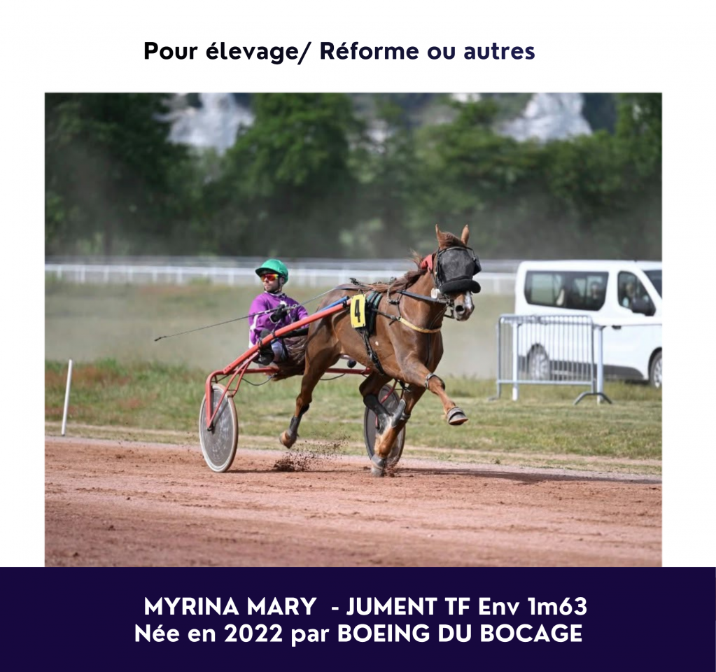 Jolie trotteuse de 4 ans 