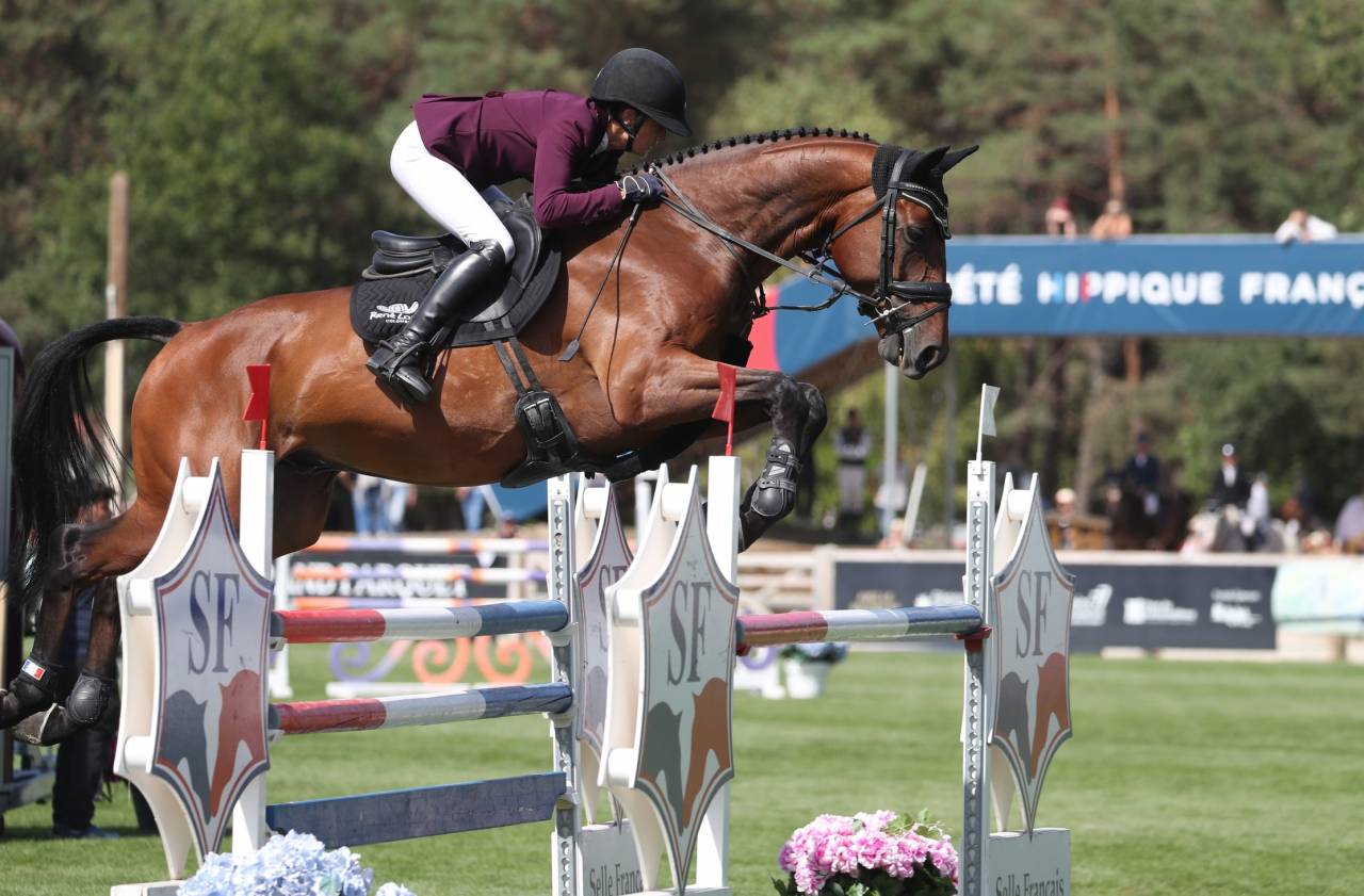  ? &Agrave; LA RECHERCHE DE VOTRE FUTUR CHEVAL DE SPORT ?