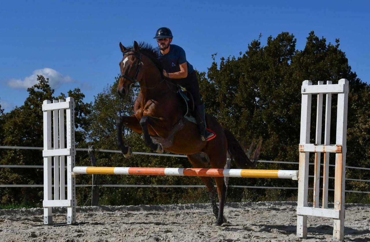 CHEVAL PS 9 ANS 1M66