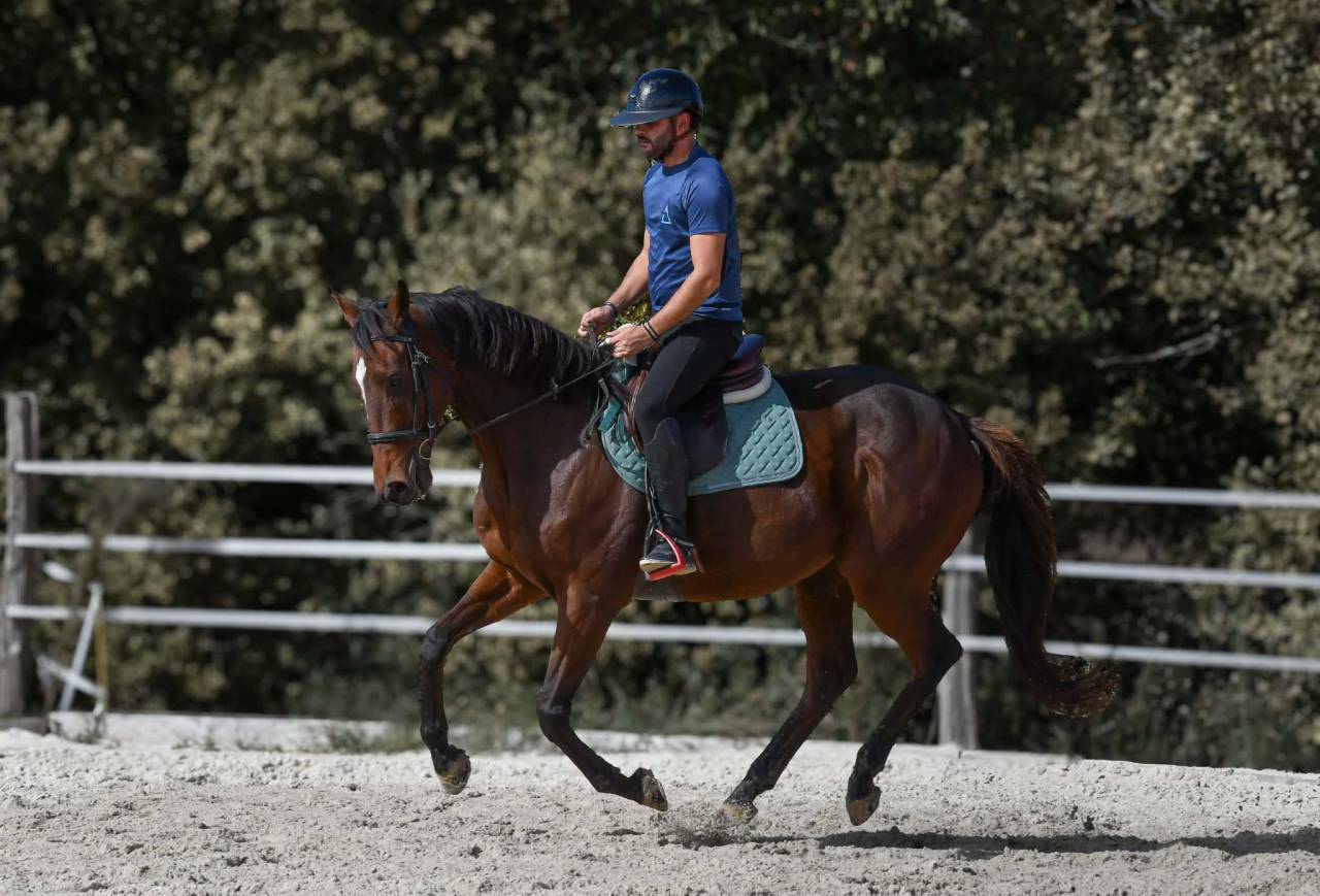 CHEVAL PS 9 ANS 1M66