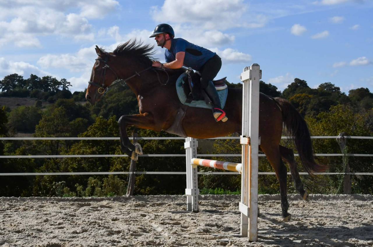 CHEVAL PS 9 ANS 1M66