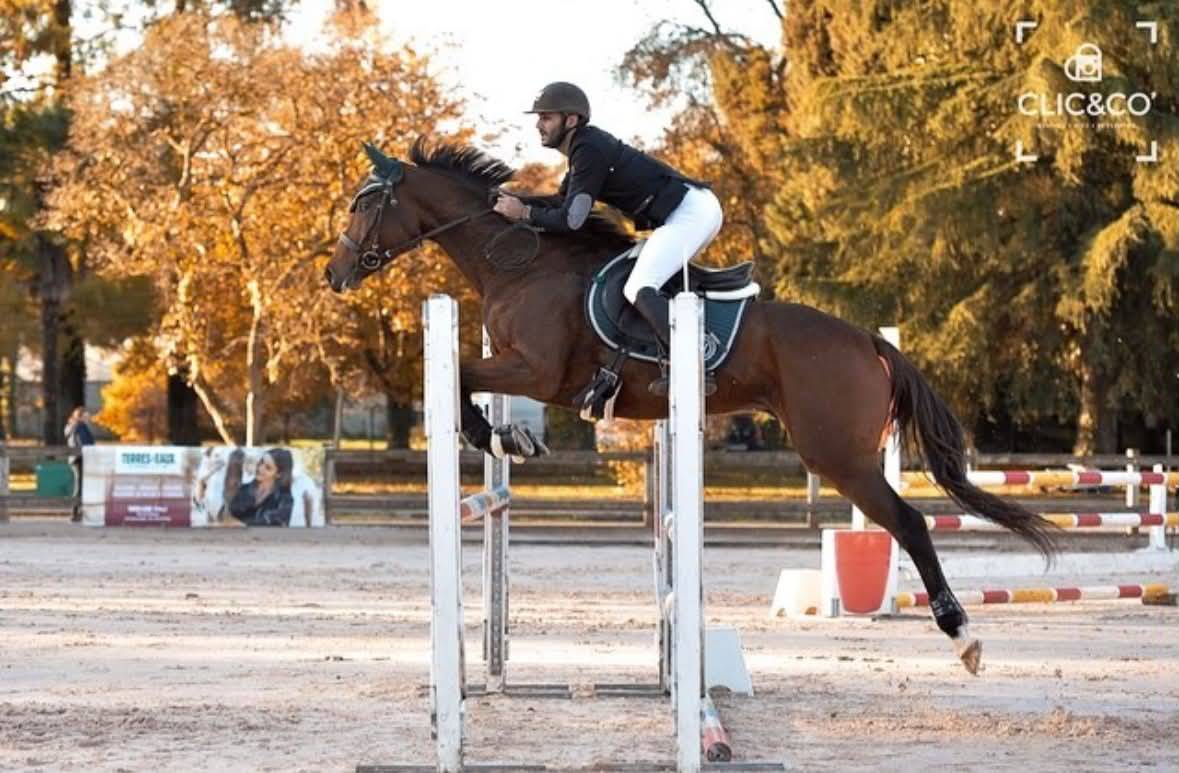 CHEVAL PS 8 ANS 1M65