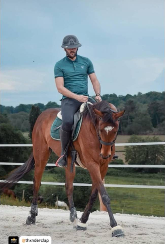 CHEVAL PS 8 ANS 1M65