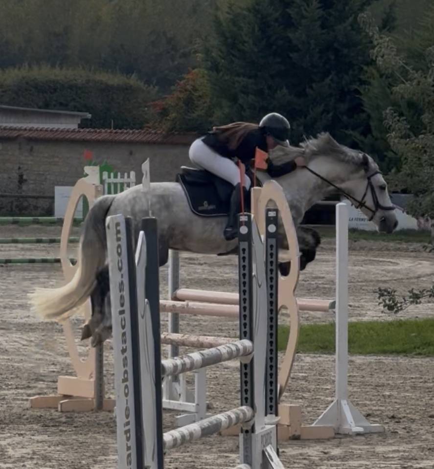  Cheval CSO / CCE / Dressage