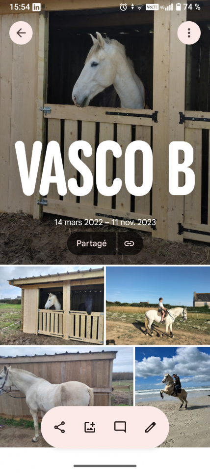 A vendre cheval Espagnol ONC 