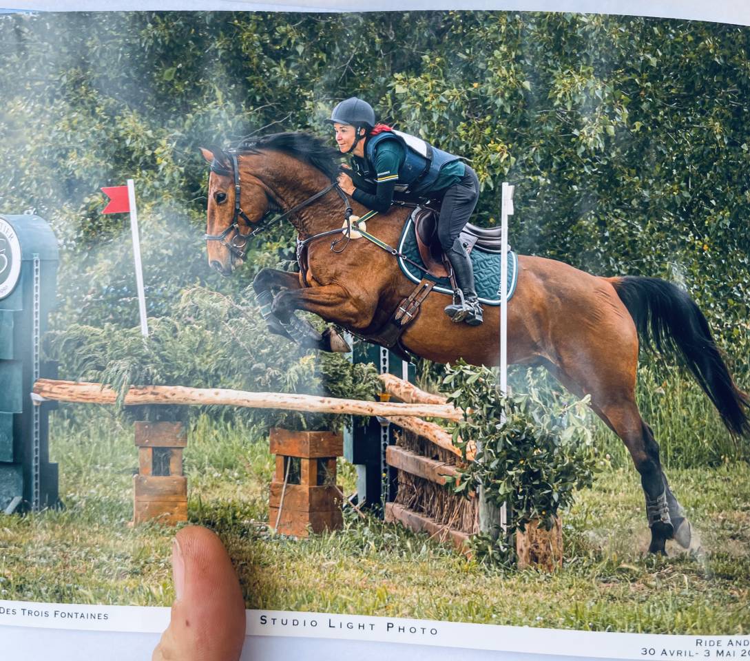 Cheval SF 9ans Cso