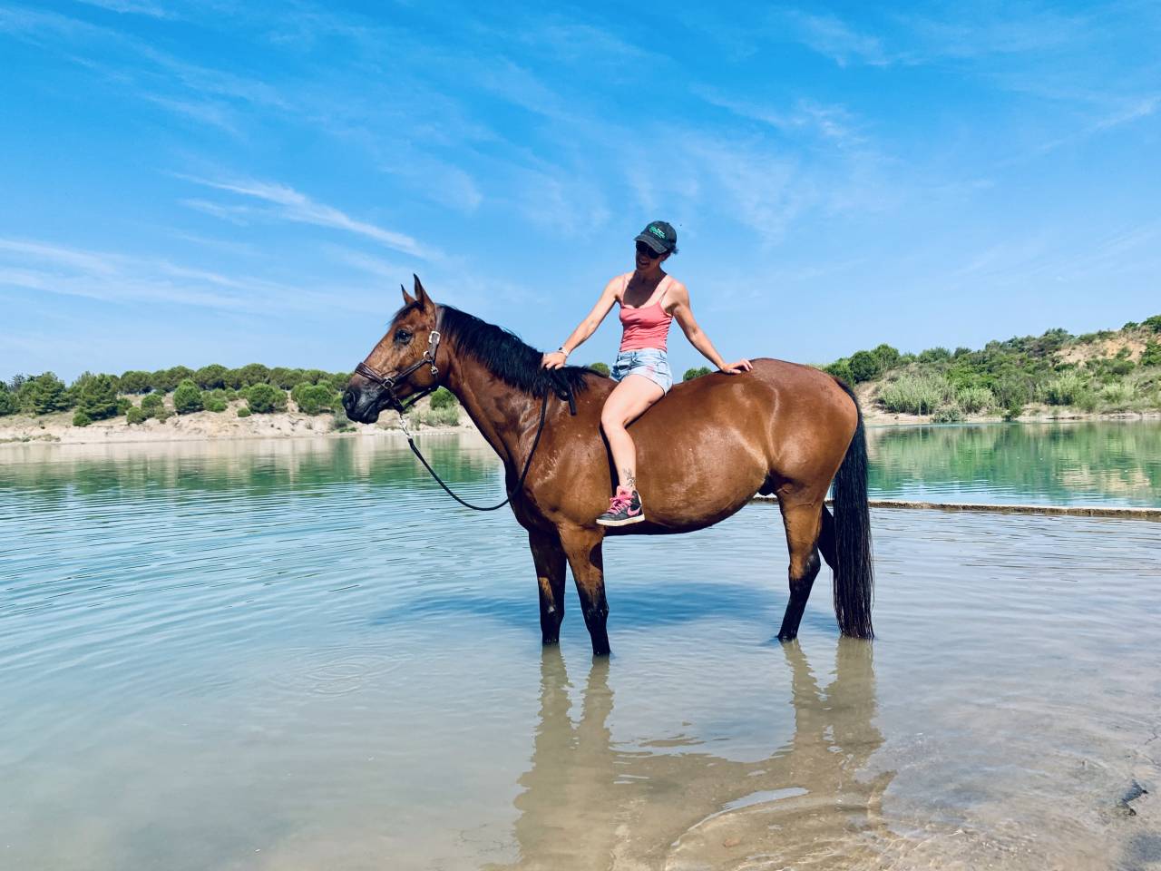 Cheval SF 9ans Cso