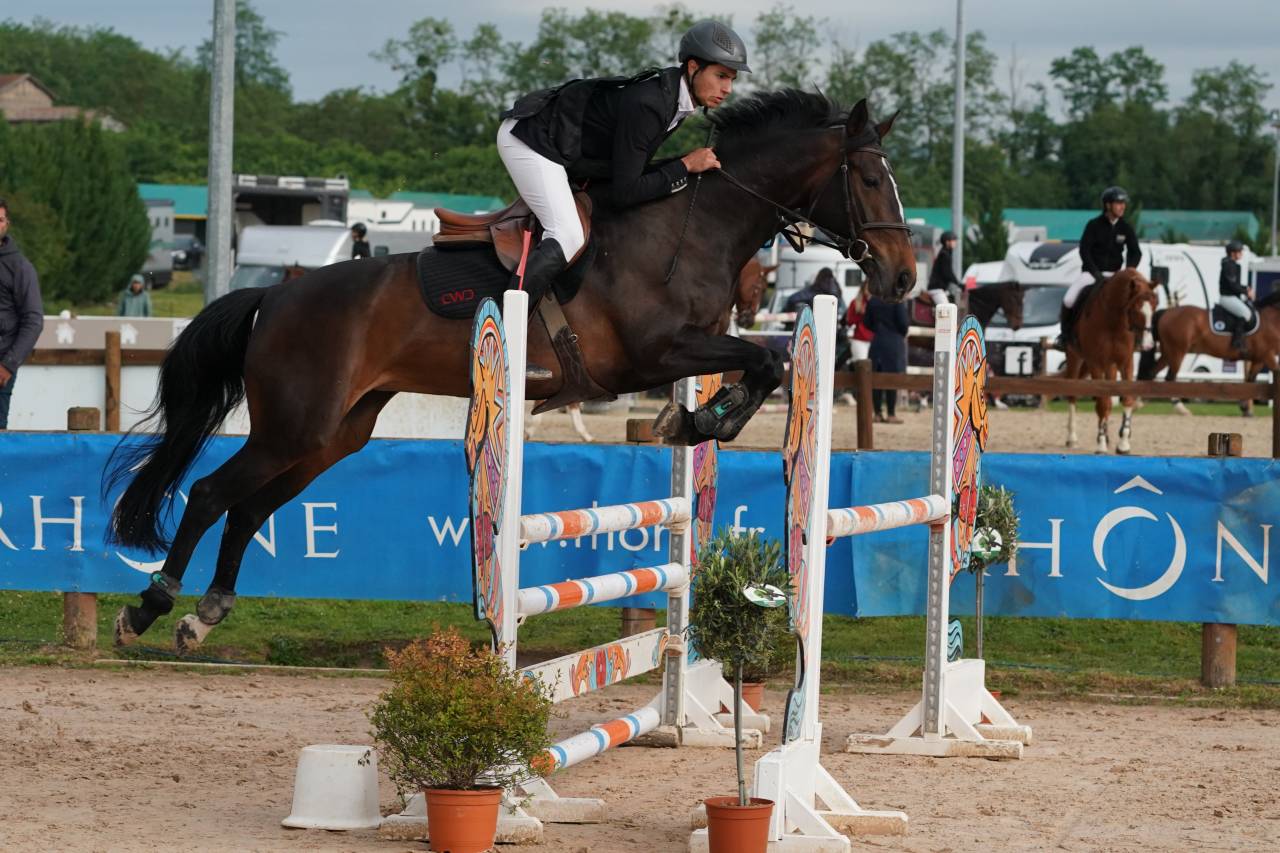 Jument de CSO de 9 ans