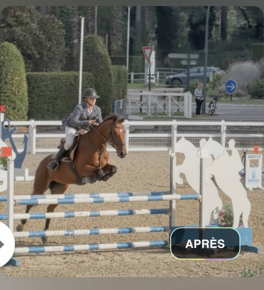 Jument Z CSO 7 ans 